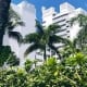 Shelborn Hotel Landscape - Lancescape Miami