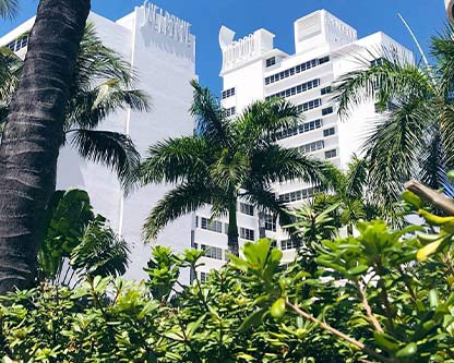 Shelborn Hotel Landscape - Lancescape Miami