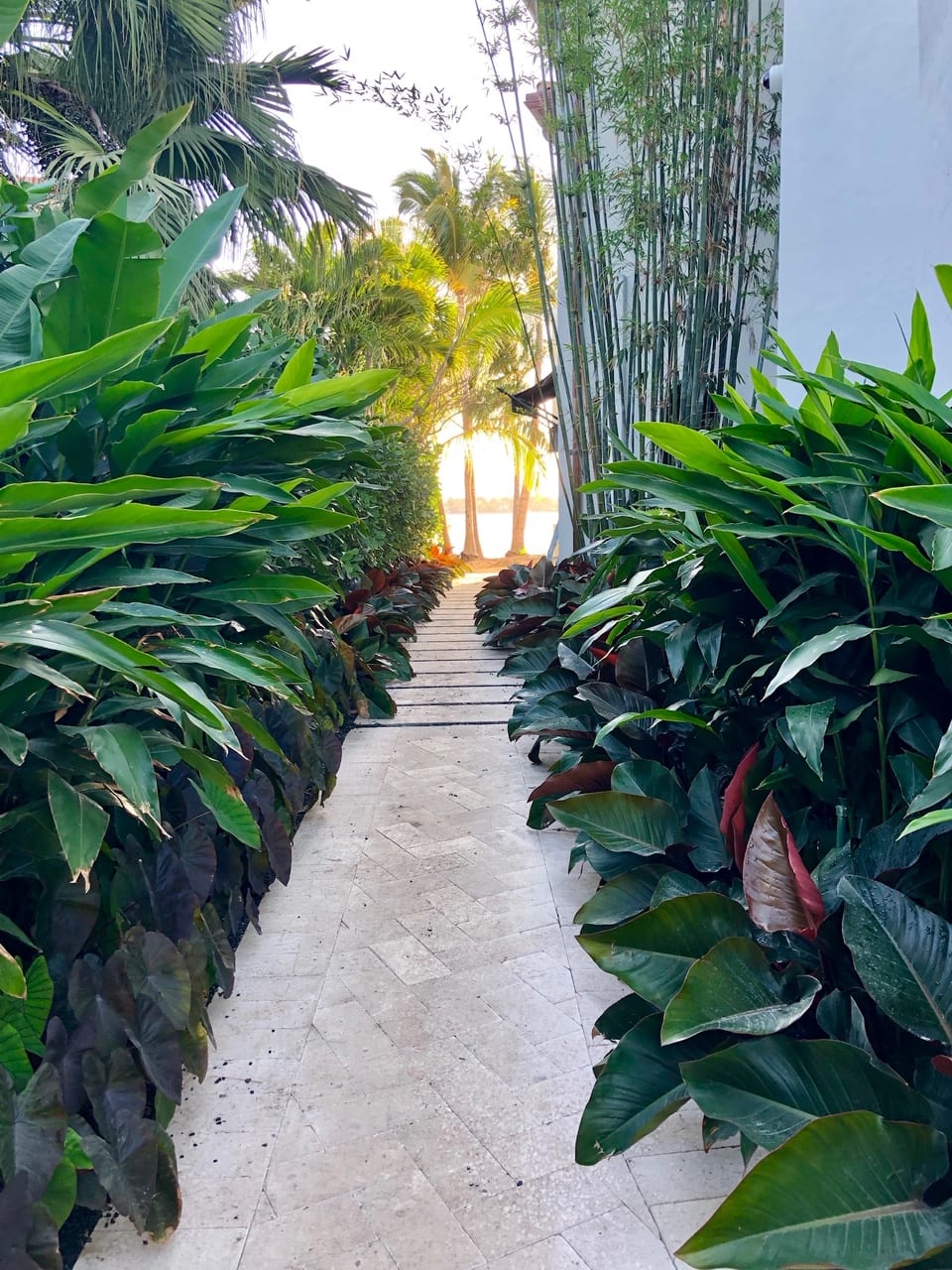 Luxury Landscape - Lancescape Miami