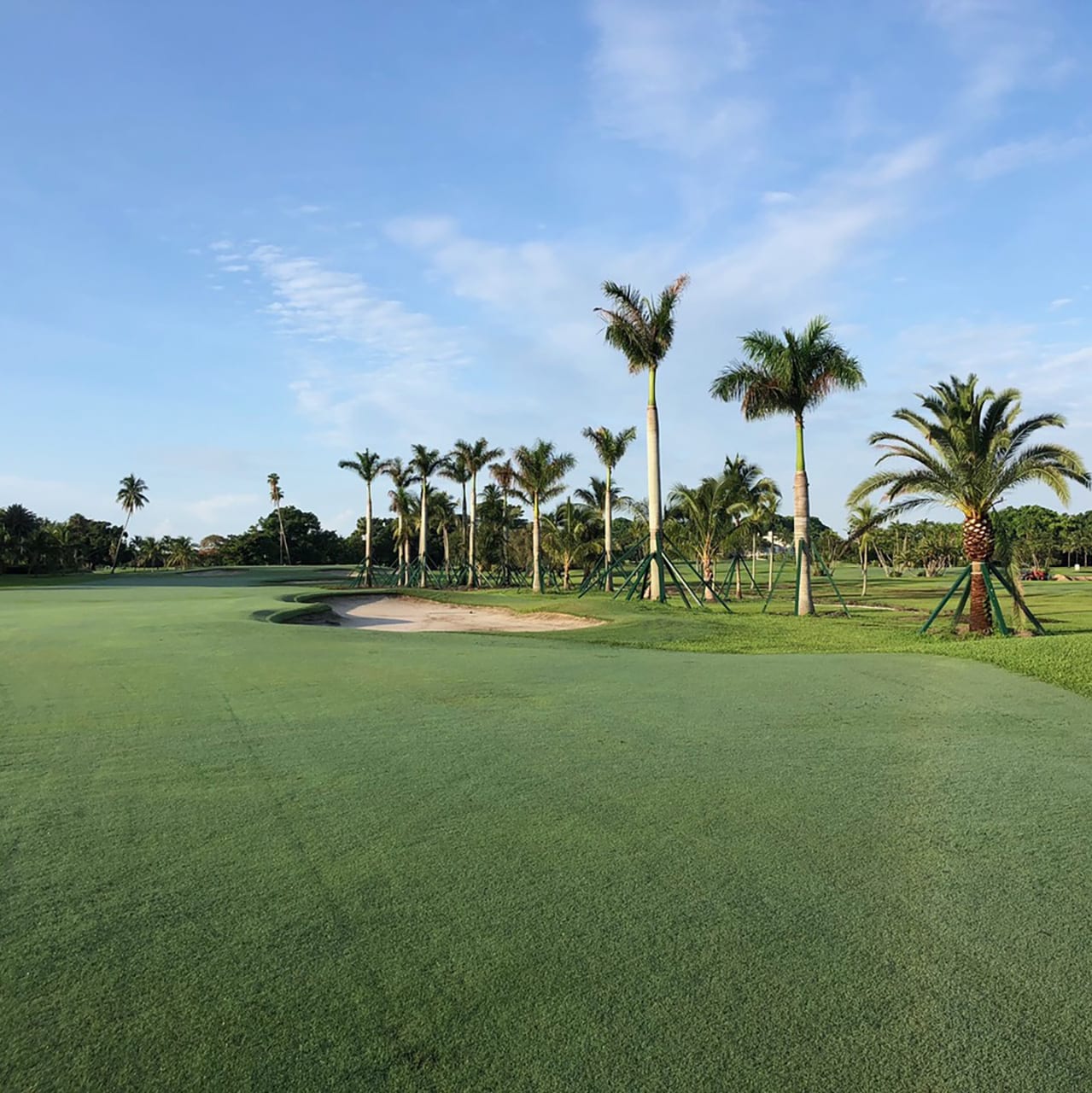 Country Club Golf Course Miami - Lancescape Miami